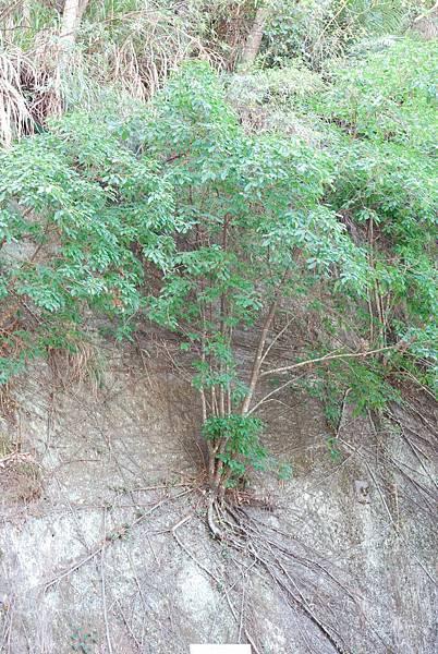 DSC_6465.jpg DSC_6465.jpg