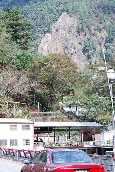 DSC_6466.jpg DSC_6466.jpg