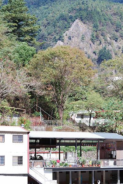 DSC_6468.jpg DSC_6468.jpg