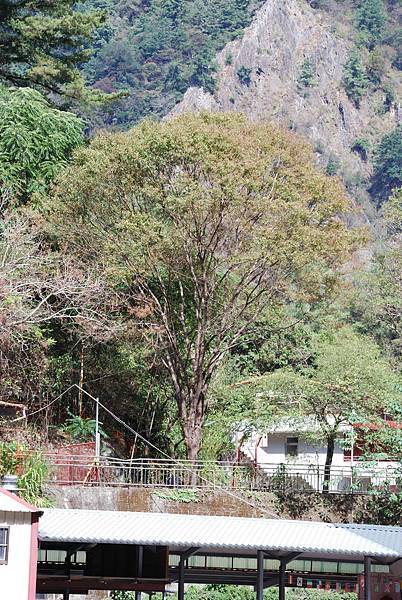 DSC_6470.jpg DSC_6470.jpg