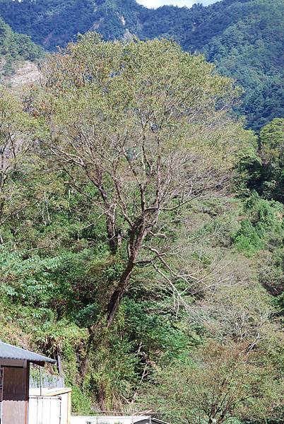 DSC_6471.jpg DSC_6471.jpg