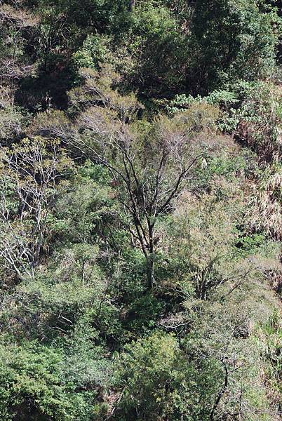 DSC_6472.jpg DSC_6472.jpg