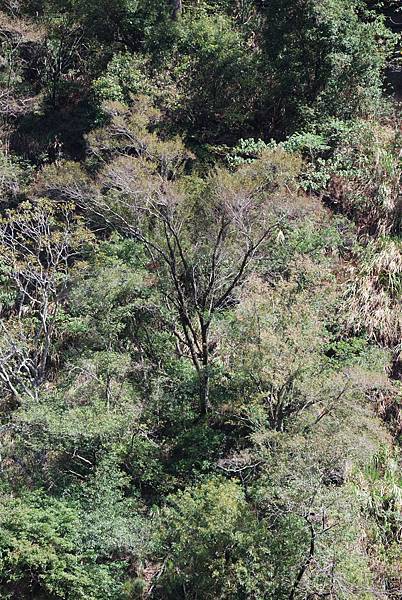 DSC_6473.jpg DSC_6473.jpg