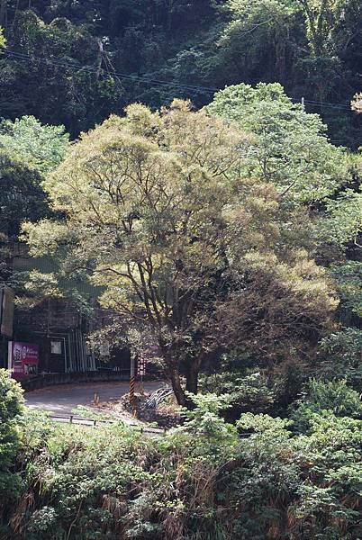 DSC_6474.jpg DSC_6474.jpg