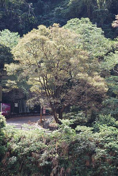 DSC_6475.jpg DSC_6475.jpg