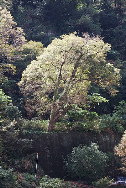 DSC_6477.jpg DSC_6477.jpg