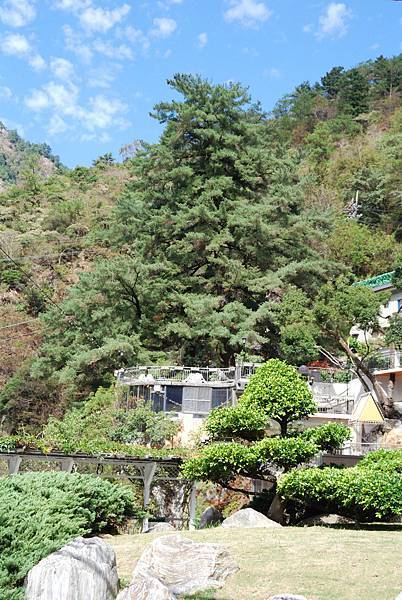 DSC_6481.jpg DSC_6481.jpg