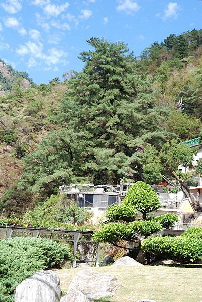 DSC_6482.jpg DSC_6482.jpg