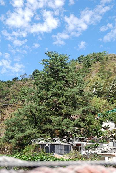 DSC_6483.jpg DSC_6483.jpg