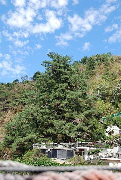 DSC_6484.jpg DSC_6484.jpg