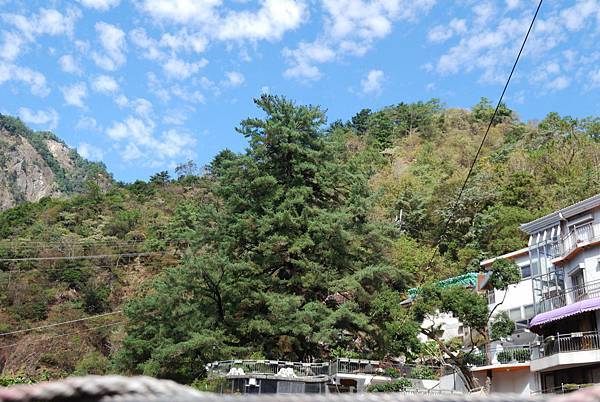 DSC_6485.jpg DSC_6485.jpg