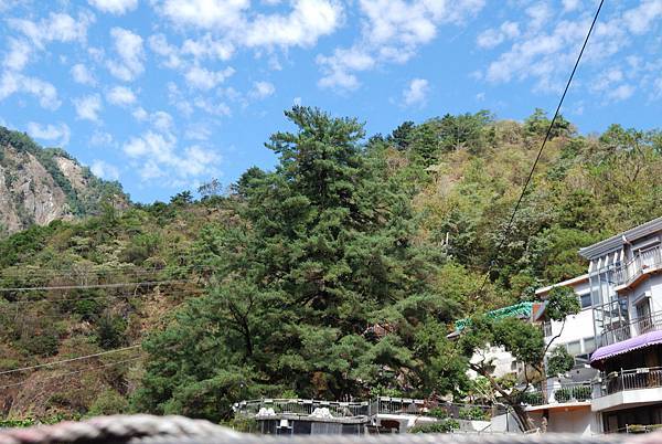 DSC_6486.jpg DSC_6486.jpg