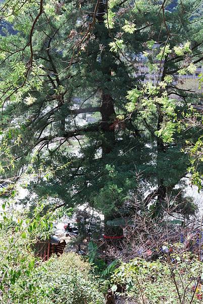 DSC_6487.jpg DSC_6487.jpg