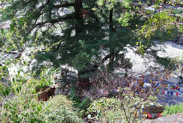 DSC_6488.jpg DSC_6488.jpg