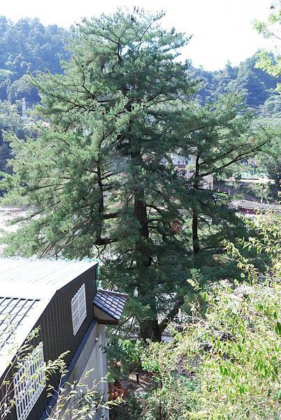 DSC_6489.jpg DSC_6489.jpg