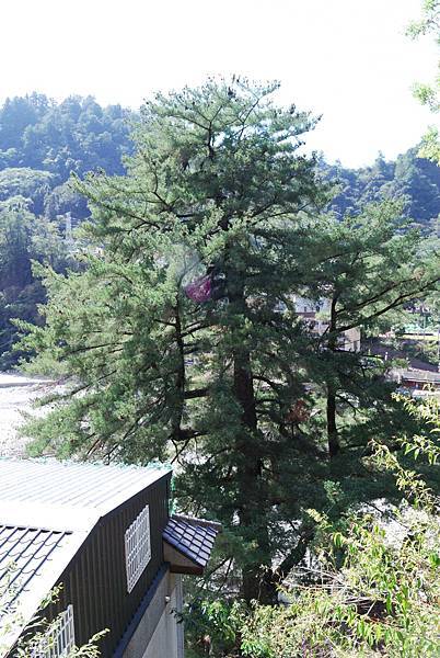 DSC_6490.jpg DSC_6490.jpg