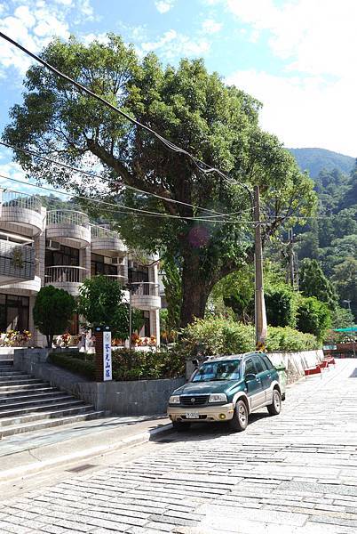 DSC_6492.jpg DSC_6492.jpg