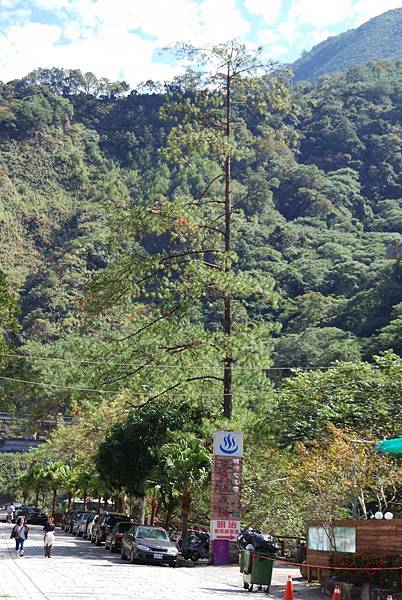 DSC_6493.jpg DSC_6493.jpg