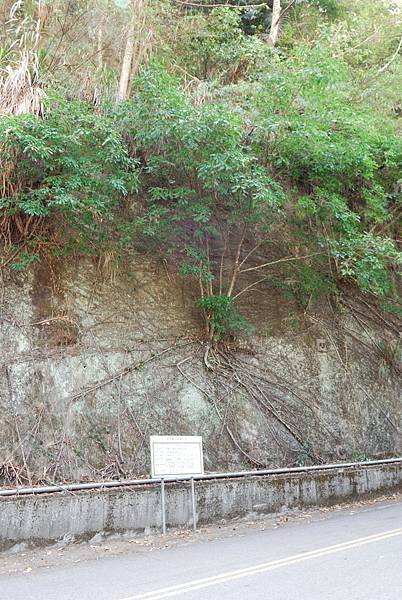 DSC_6494.jpg DSC_6494.jpg