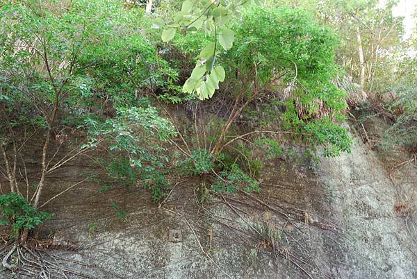 DSC_6495.jpg DSC_6495.jpg