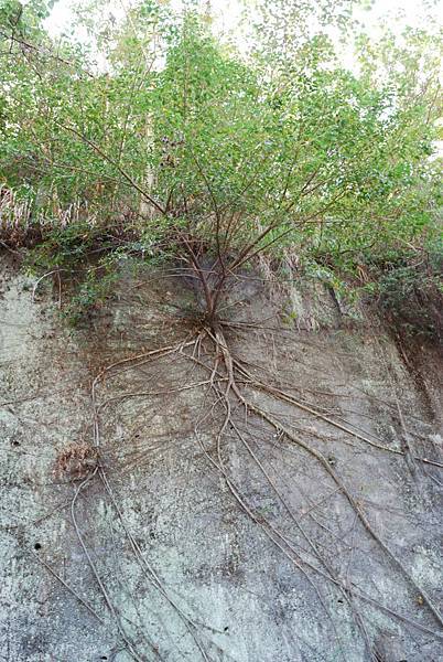 DSC_6496.jpg DSC_6496.jpg