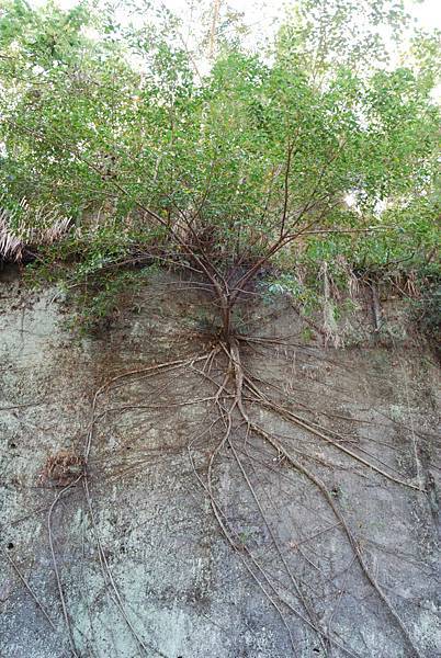 DSC_6497.jpg DSC_6497.jpg