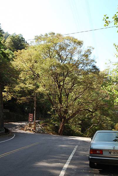 DSC_6498.jpg DSC_6498.jpg