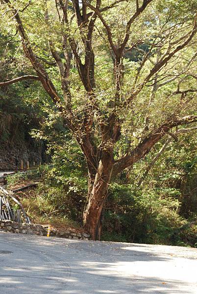 DSC_6499.jpg DSC_6499.jpg