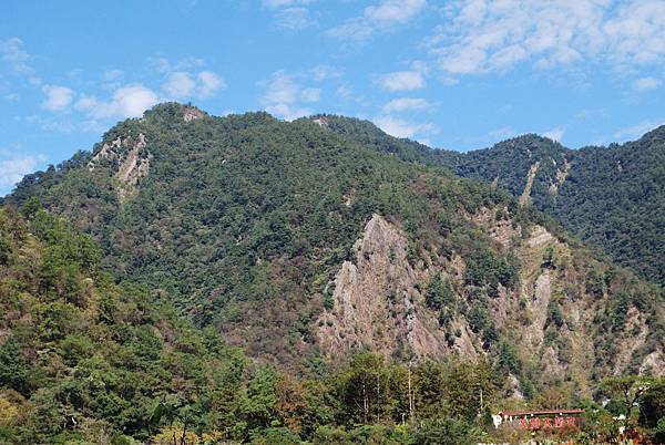 DSC_6503.jpg DSC_6503.jpg