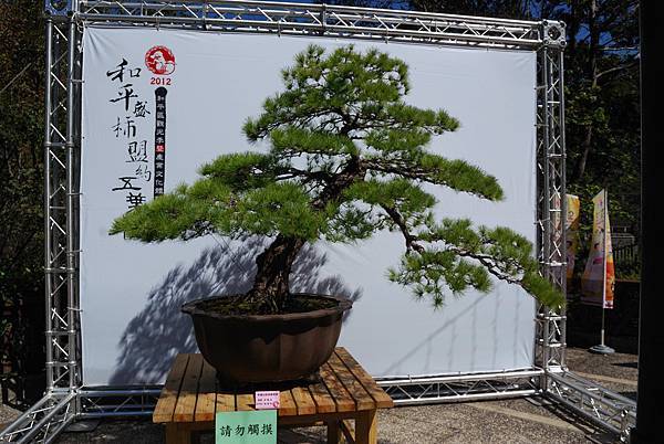 DSC_6507.jpg DSC_6507.jpg