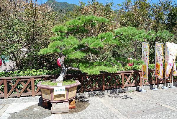 DSC_6508.jpg DSC_6508.jpg