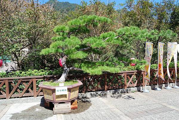 DSC_6509.jpg DSC_6509.jpg