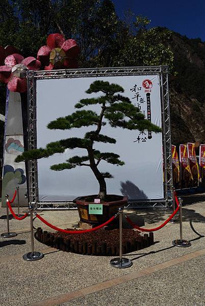 DSC_6510.jpg DSC_6510.jpg