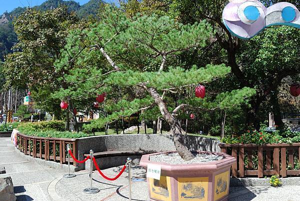 DSC_6512.jpg DSC_6512.jpg