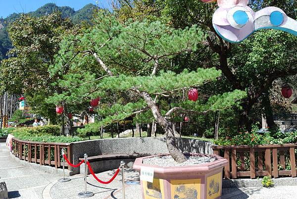 DSC_6513.jpg DSC_6513.jpg