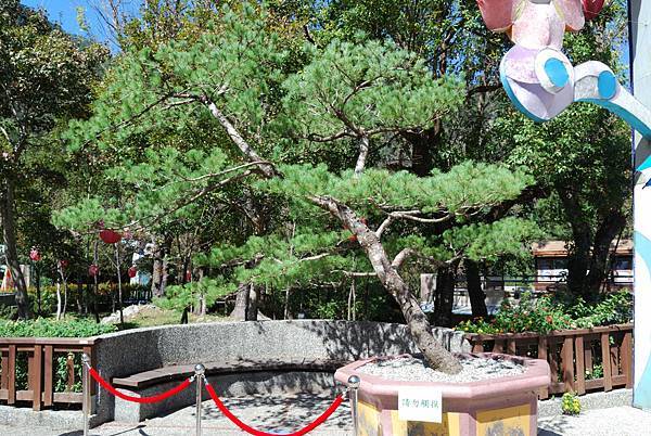 DSC_6514.jpg DSC_6514.jpg