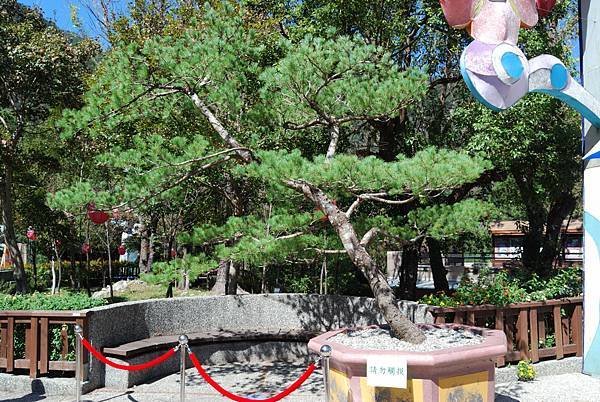 DSC_6515.jpg DSC_6515.jpg