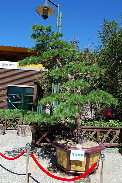 DSC_6516.jpg DSC_6516.jpg