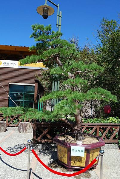 DSC_6517.jpg DSC_6517.jpg