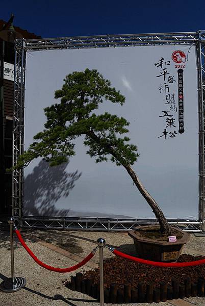 DSC_6518.jpg DSC_6518.jpg