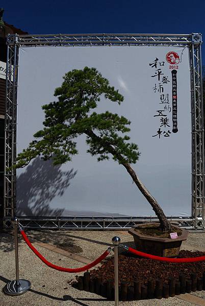 DSC_6519.jpg DSC_6519.jpg