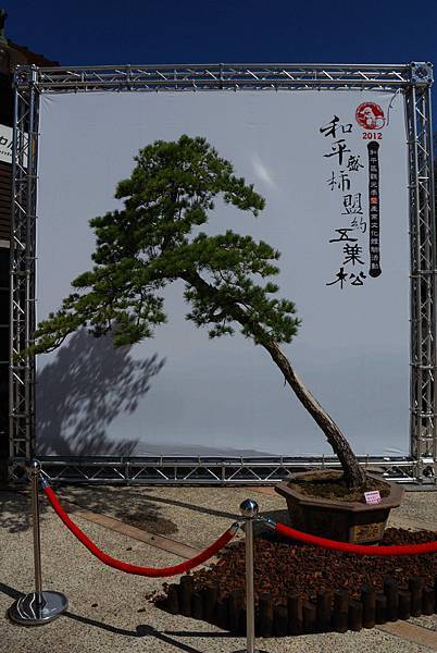 DSC_6520.jpg DSC_6520.jpg