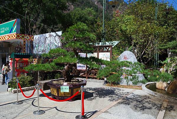 DSC_6521.jpg DSC_6521.jpg