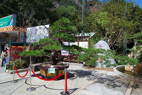 DSC_6522.jpg DSC_6522.jpg