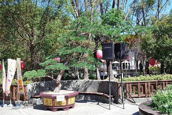 DSC_6523.jpg DSC_6523.jpg