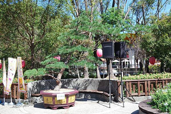 DSC_6524.jpg DSC_6524.jpg