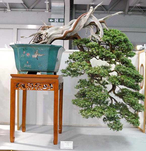 DSC_2499.jpg DSC_2499.jpg