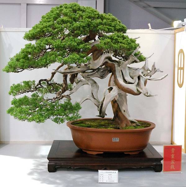 DSC_2501.jpg DSC_2501.jpg