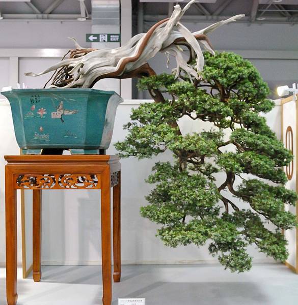 DSC_2500.jpg DSC_2500.jpg