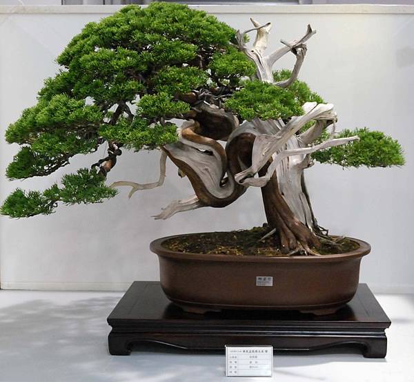 DSC_2506.jpg DSC_2506.jpg